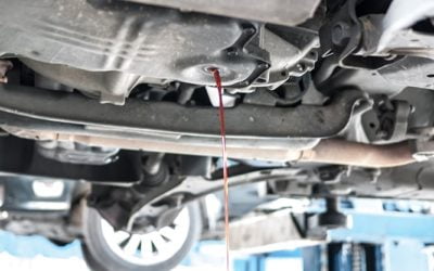 Everything You Need to Know About a Transmission Fluid Flush